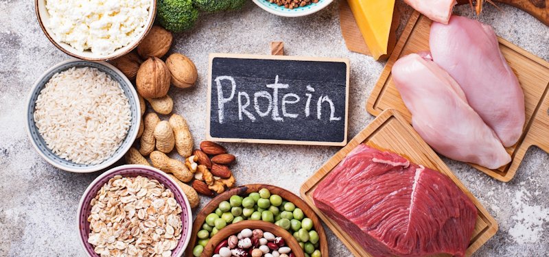 Myth Busting Protein Use and Assimilation