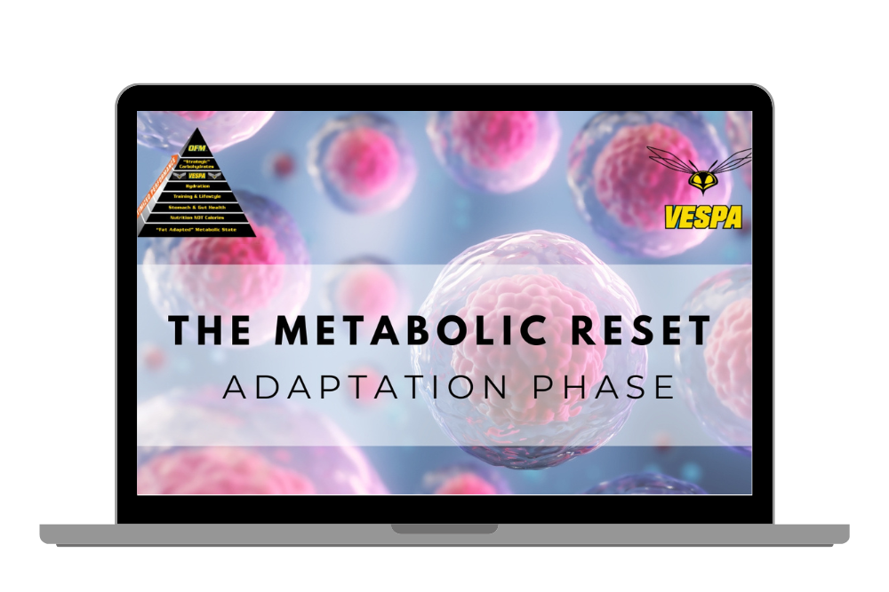 Metabolic Reset Adaptation Phase Icon